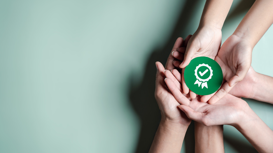 iso 56000 guia para implementar